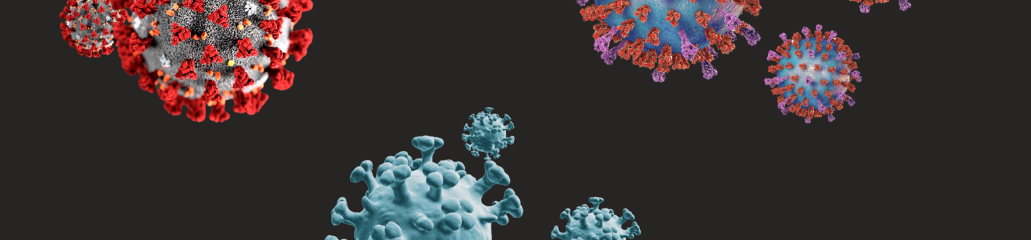 Top left: close up of Covid-19 cells. Top right: close up of RSV cells. Bottom: close up of Flu cells.