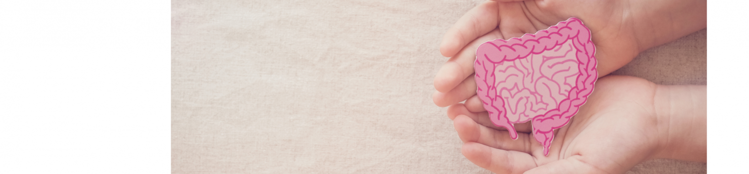 hands holding paper art of intestinal shape