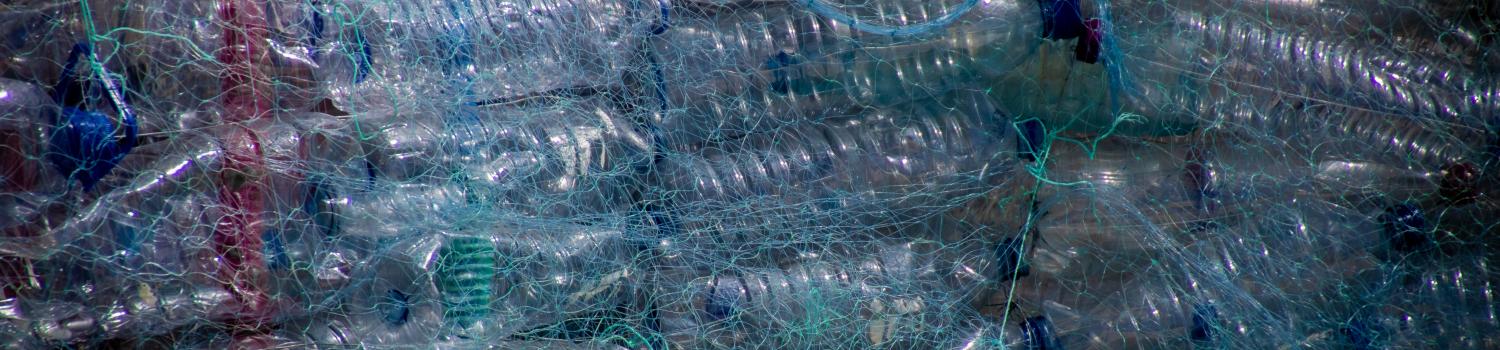 plastic bottles in nets